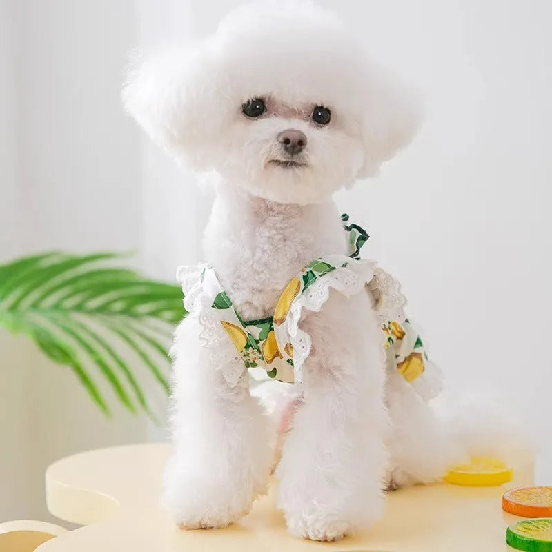 Rock yellow lemon polyester dog skirt with adjustable straps on small dog