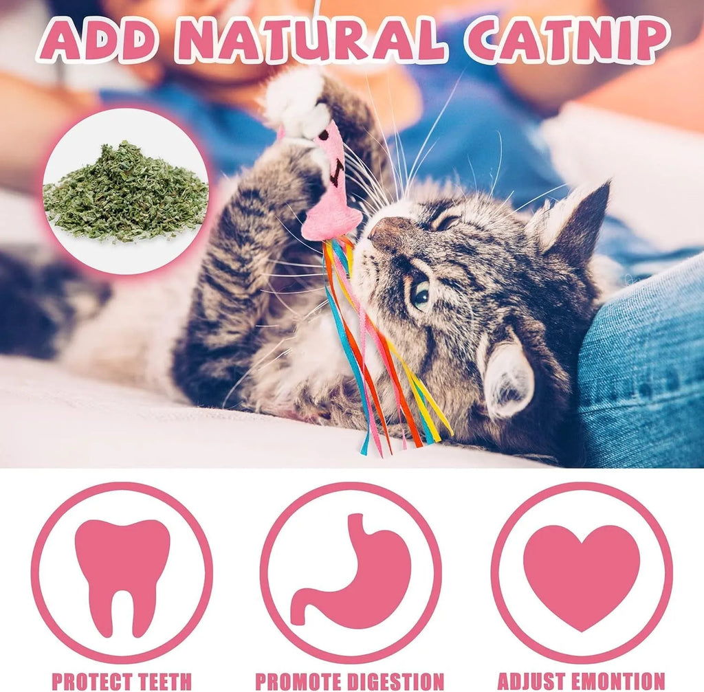 Cat wand toy with wooden handle, colourful ribbons, catnip fish attachment, and bell for interactive play