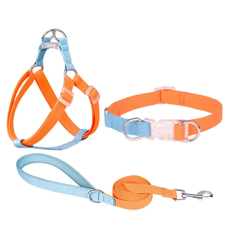 Polyester ribbon dog collar and leash set in coordinating colours with adjustable sizing