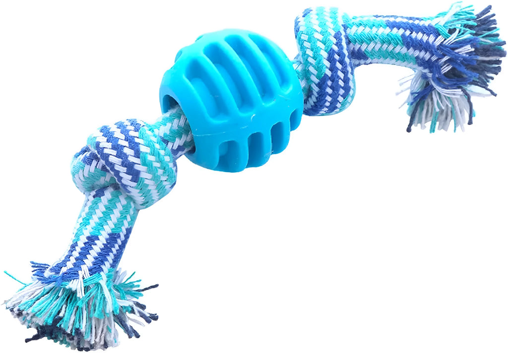 Blue molar-shaped nylon dog chew toy with green rope arms on a white background