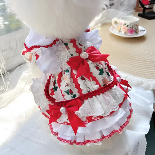 A small white dog wearing a blue and white rabbit print skirt, showcasing the princess-style pet clothing.