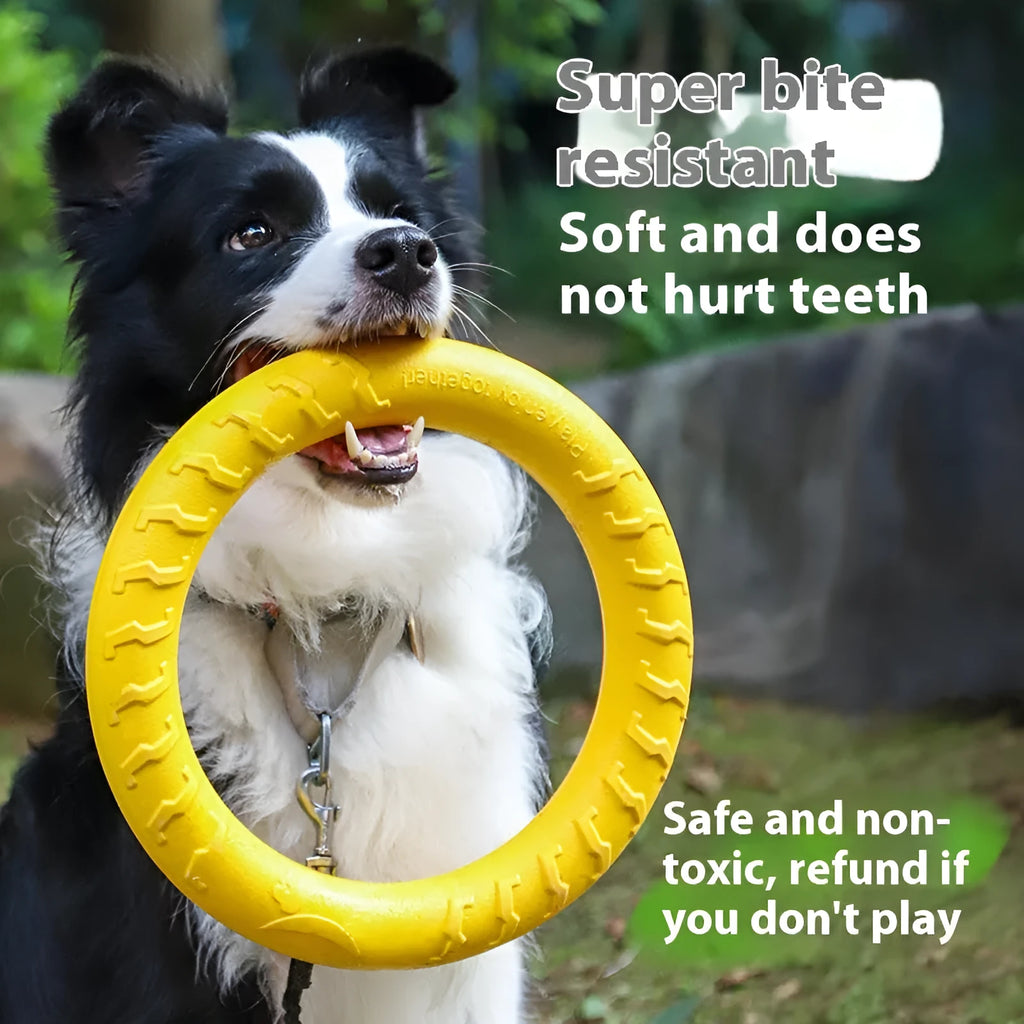 EVA dog training toy range with chew rope, frisbee, pull ring, and solid ball in 7cm or 9cm