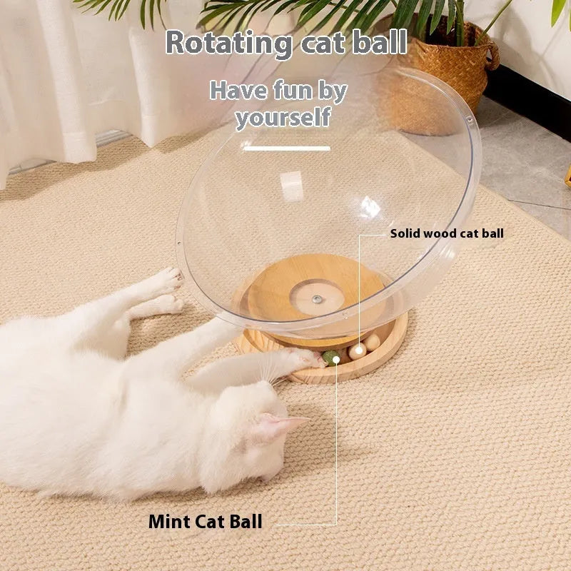Transparent acrylic cat space capsule bathtub bed with wood board base