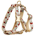 Red cherry printed dog collar and leash set with light gold buckle and bow on cloth material
