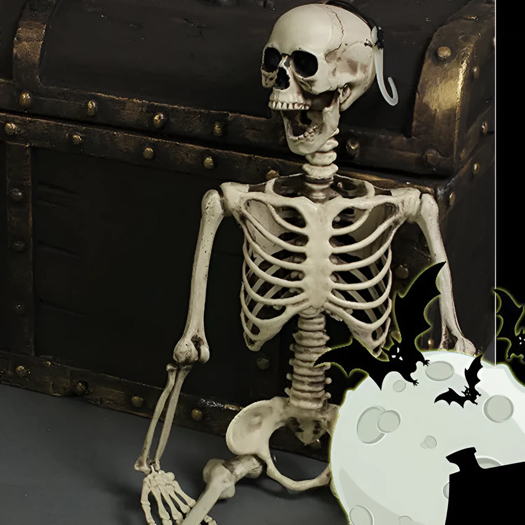 Full-size 170cm tall plastic skeleton prop with detailed skull and bone structure