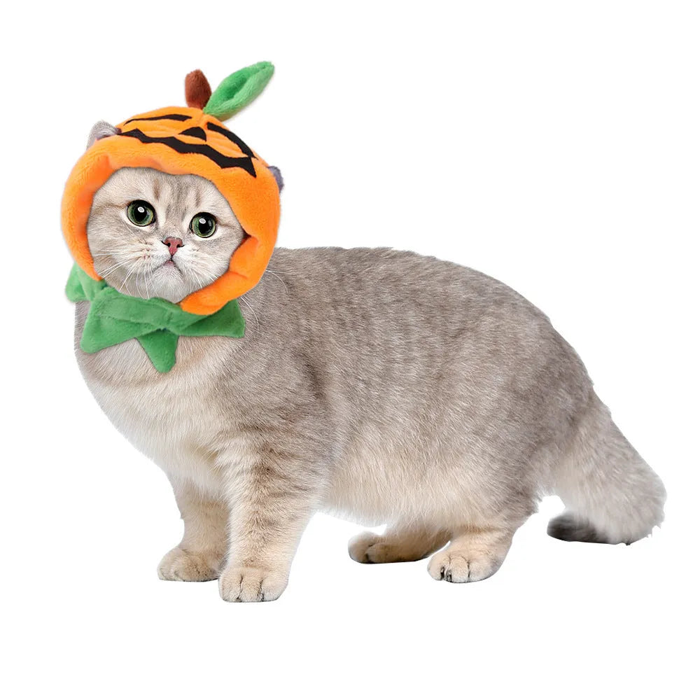 Reversible plush Halloween pumpkin cloak for dog or cat shown in three sizes