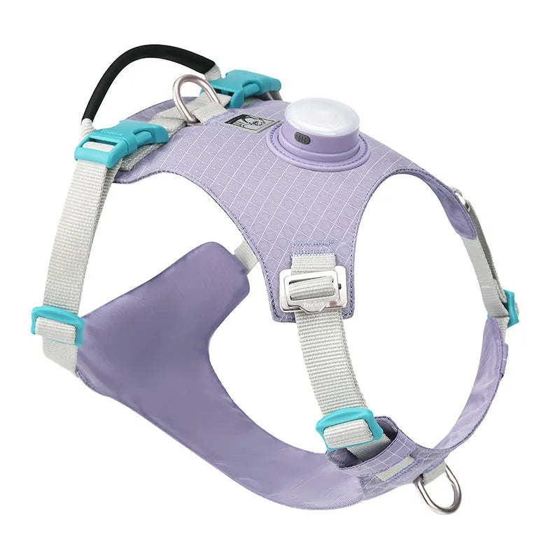 LED dog harness with reflective nylon chest strap for night walks in multiple colour options