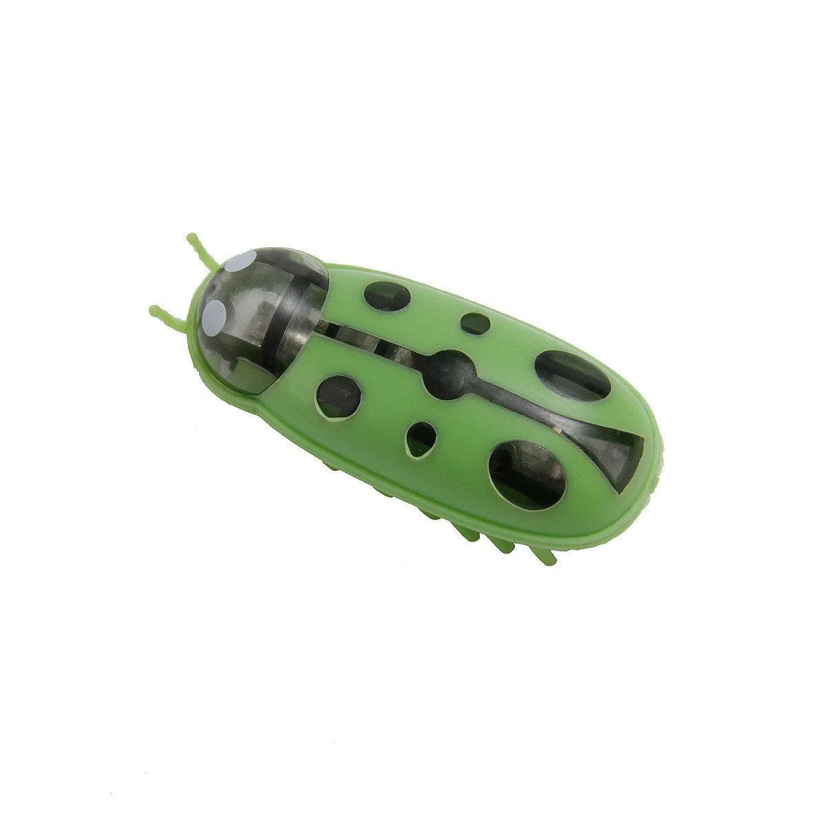 Small motorised insect pet toy in red ladybird design on wooden floor