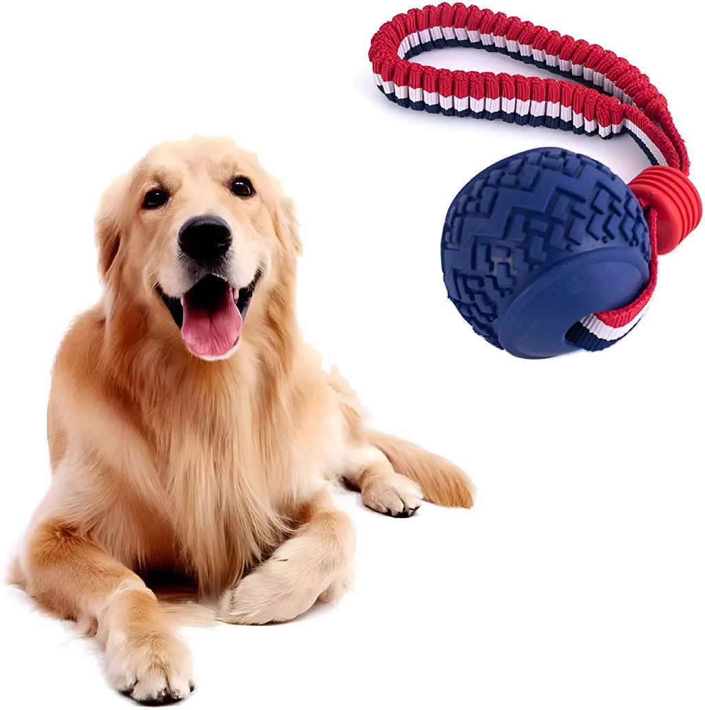 Blue dog ball with attached rope, showing textured surface and total length of 29 cm.