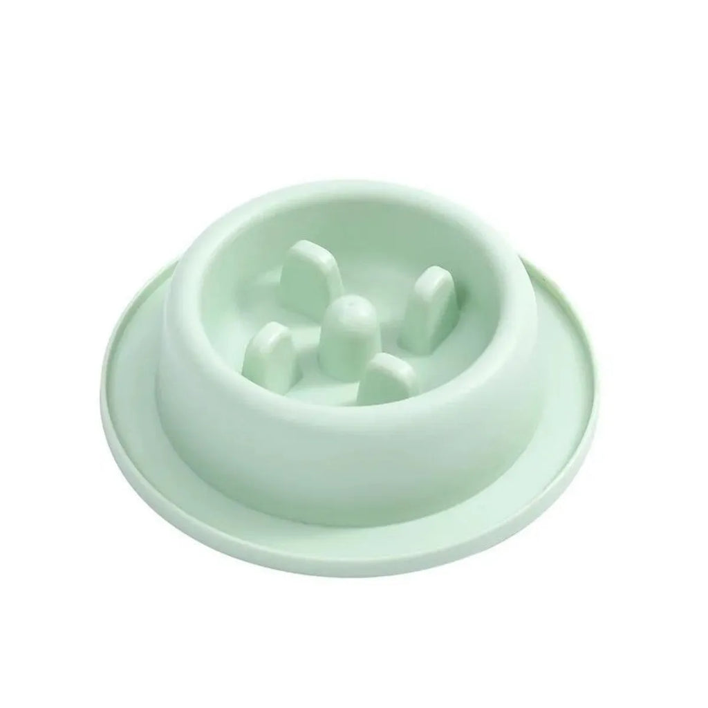 Pet slow eating feeder bowl in blue PP plastic with raised internal sections and non-slip base