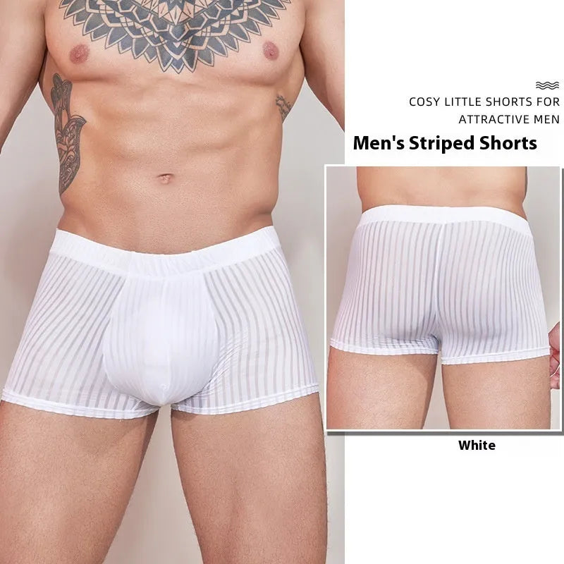 Men's striped transparent underwear in black, dark grey and white colours