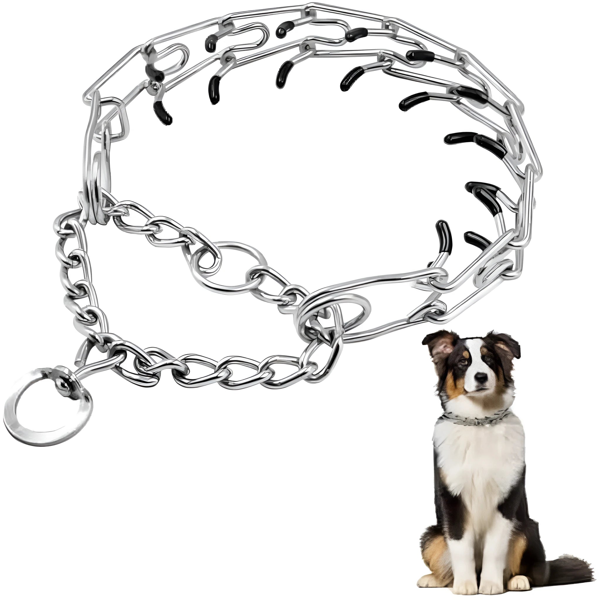 Stainless steel dog training pinch collar with rubber comfort tips on adjustable chain links