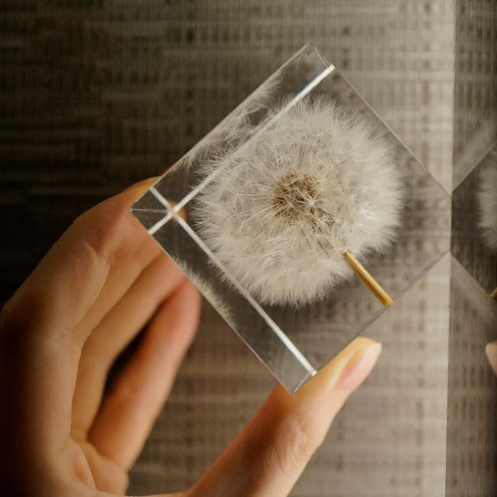 5cm transparent resin cube containing real preserved dandelion flower with USB charging base