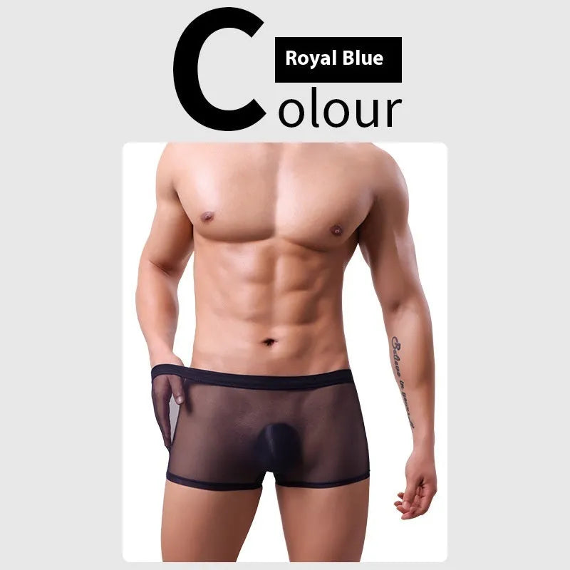 Men's low-waist mesh boxer briefs in black, white, green, blue, skin colour and pink colours