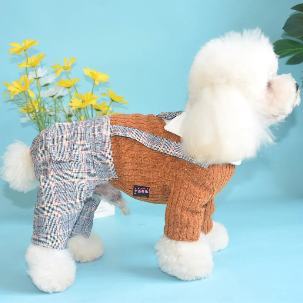 Cotton dog shirt suit in dark blue or orange colour for small to extra-large pets