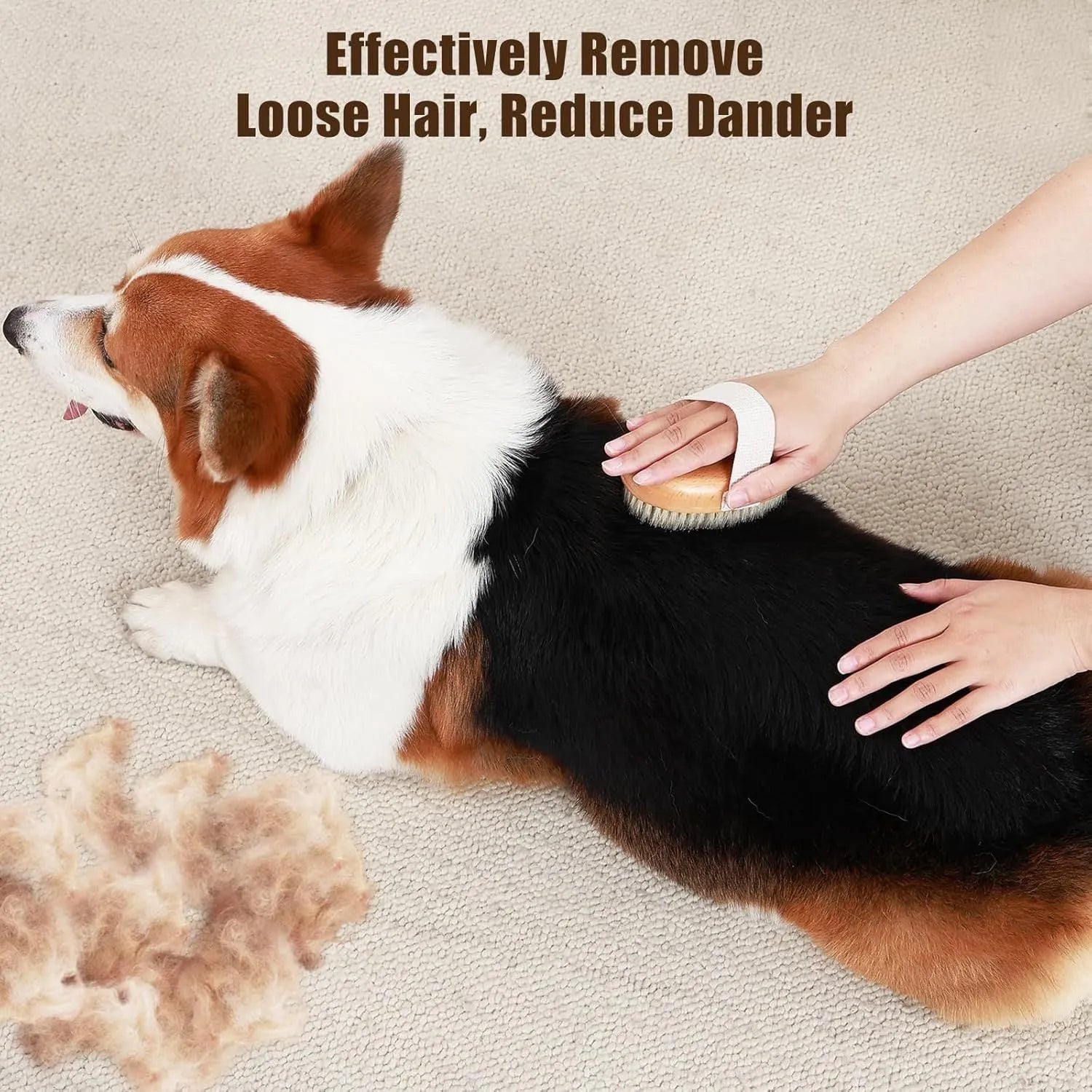 Soft boar bristle pet palm brush with ergonomic cotton band for short-haired dogs and cats, 13.5 x 8.5 cm