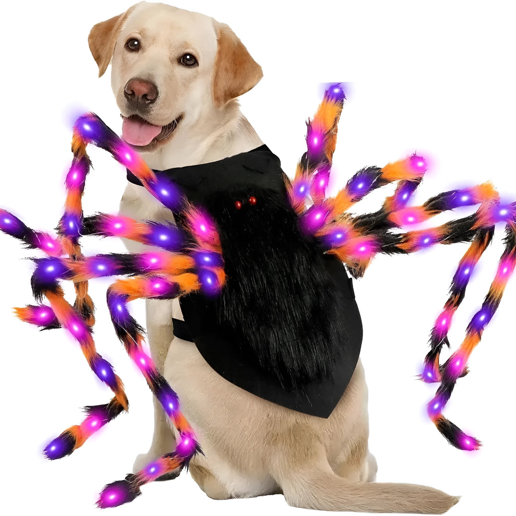 Halloween luminous spider pet costume in cloth for cats and large dogs, sizes S 60cm to L 125cm