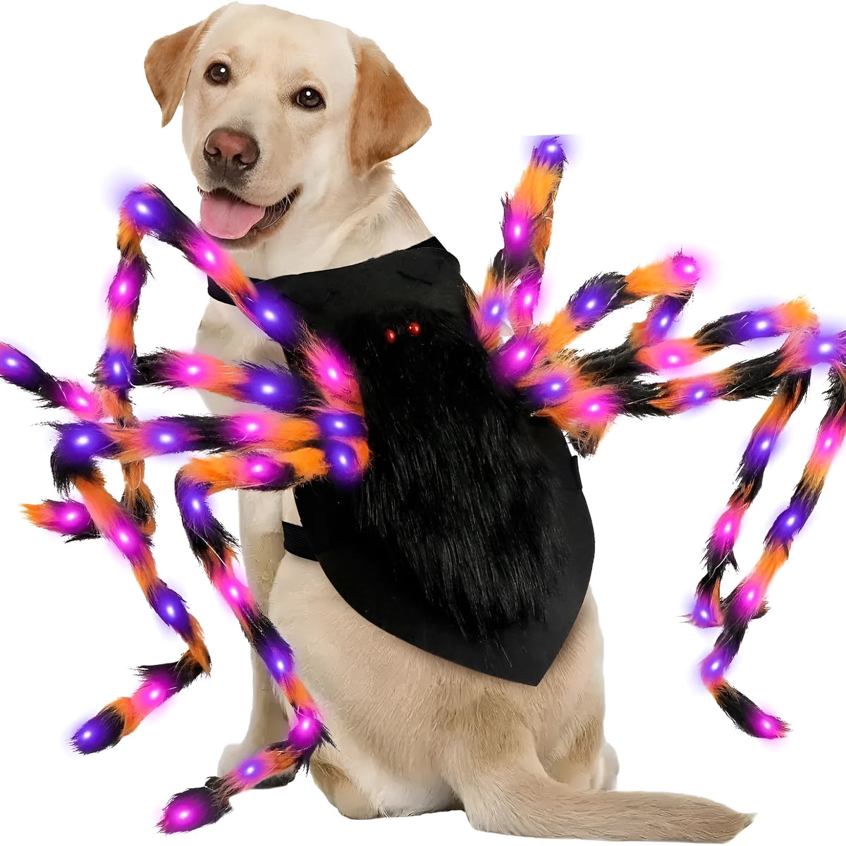 Halloween luminous spider pet costume in cloth for cats and large dogs, sizes S 60cm to L 125cm