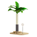 Vertical solid wood cat scratching post in a canna green-grey colour finish.