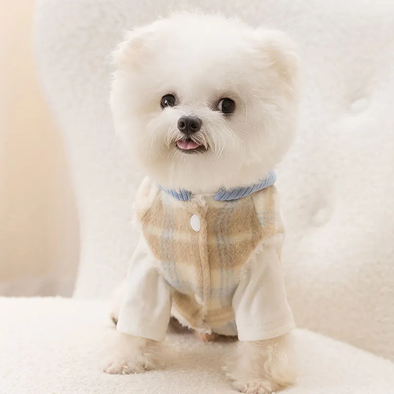 Blue corduroy dog hoodie vest with chessboard pattern and zip front closure
