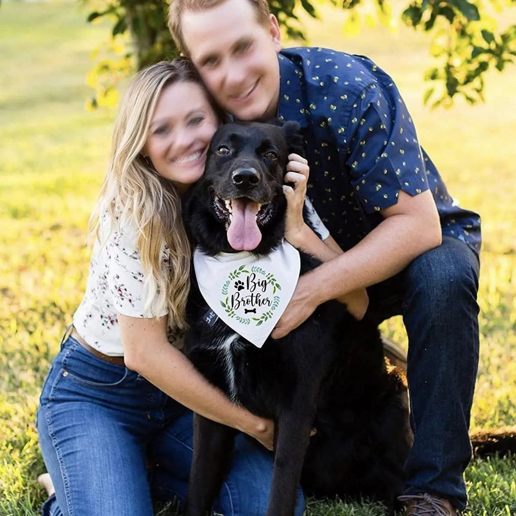 Wedding dog triangular binder scarf in polyester, 42x42x62cm, letter pattern, five colour styles
