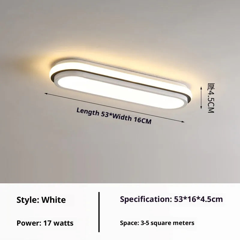 Simple modern LED ceiling lamp for hallway or balcony, 220V, available in two sizes and three light colour options