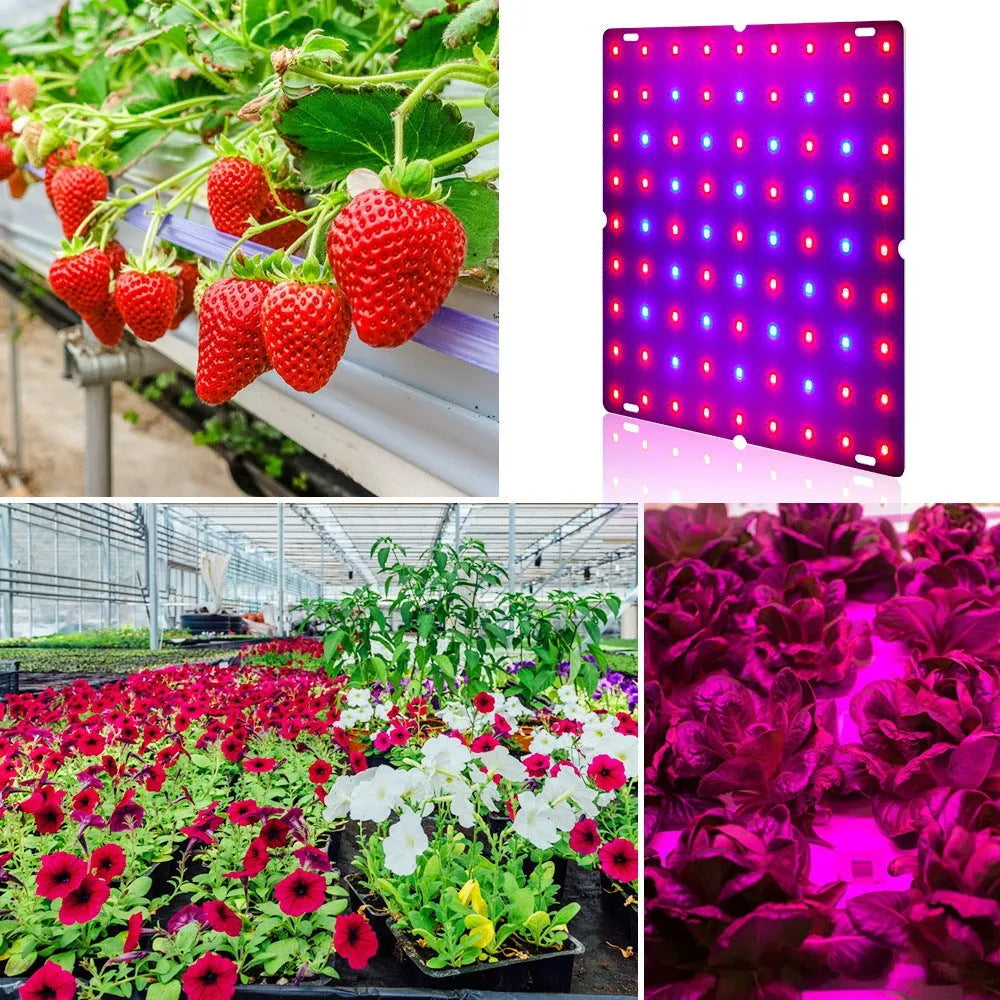 LED grow light panel with aluminum housing and E26 screw base for indoor plant cultivation.