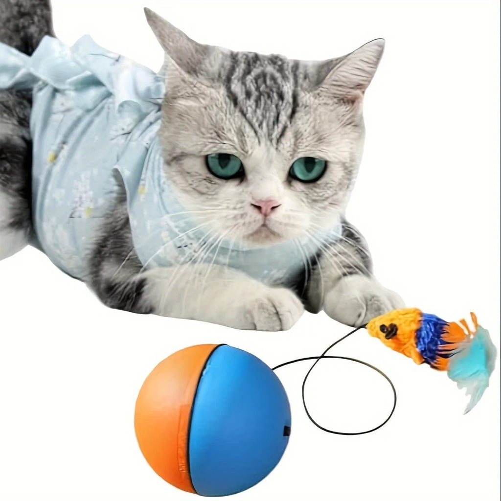 Interactive blue and orange cat toy ball with plush mouse attachment, shown next to a ruler for scale.
