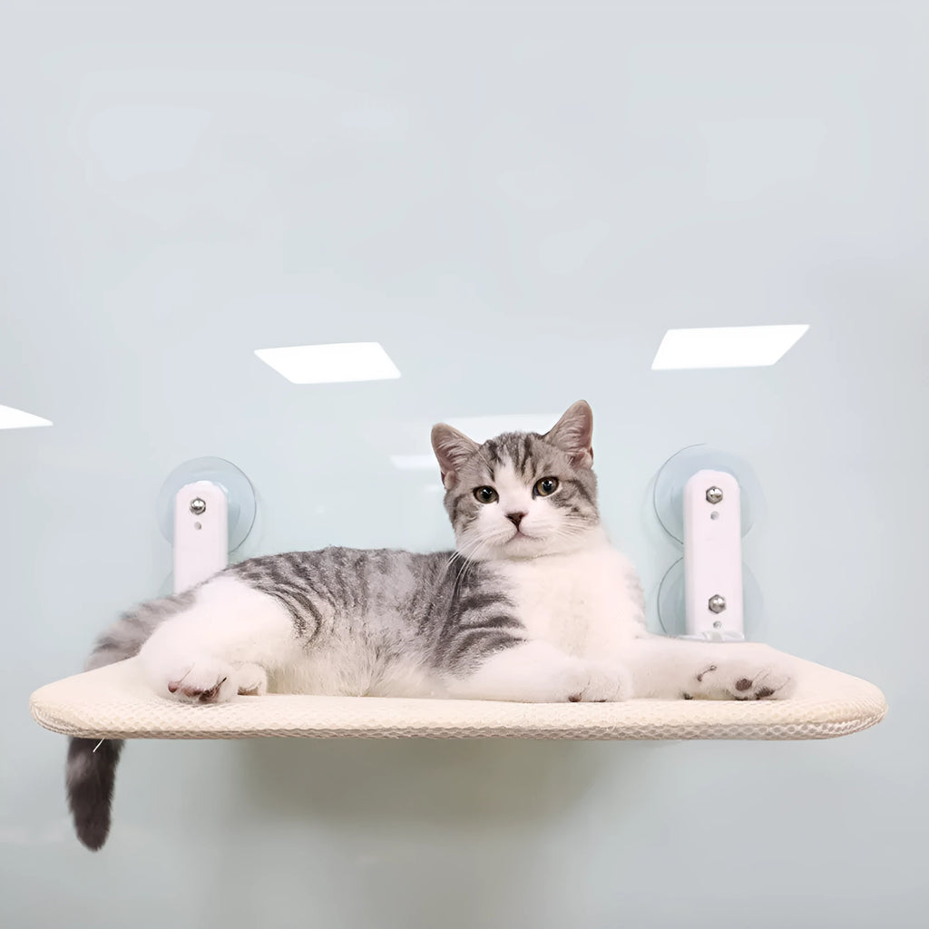 Foldable stainless steel cat hammock with grey plush cushion attached to a window with suction cups