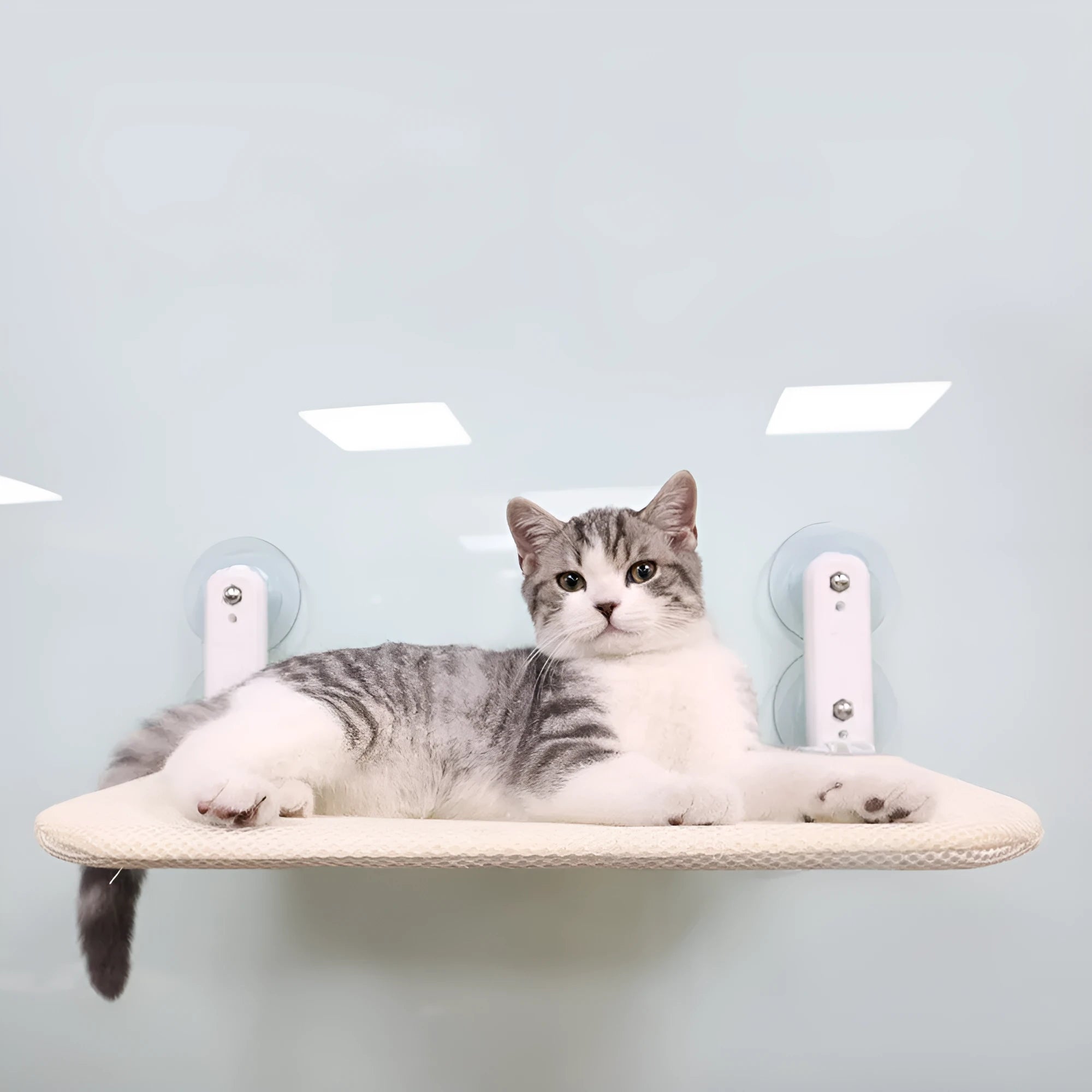 Foldable stainless steel cat hammock with grey plush cushion attached to a window with suction cups