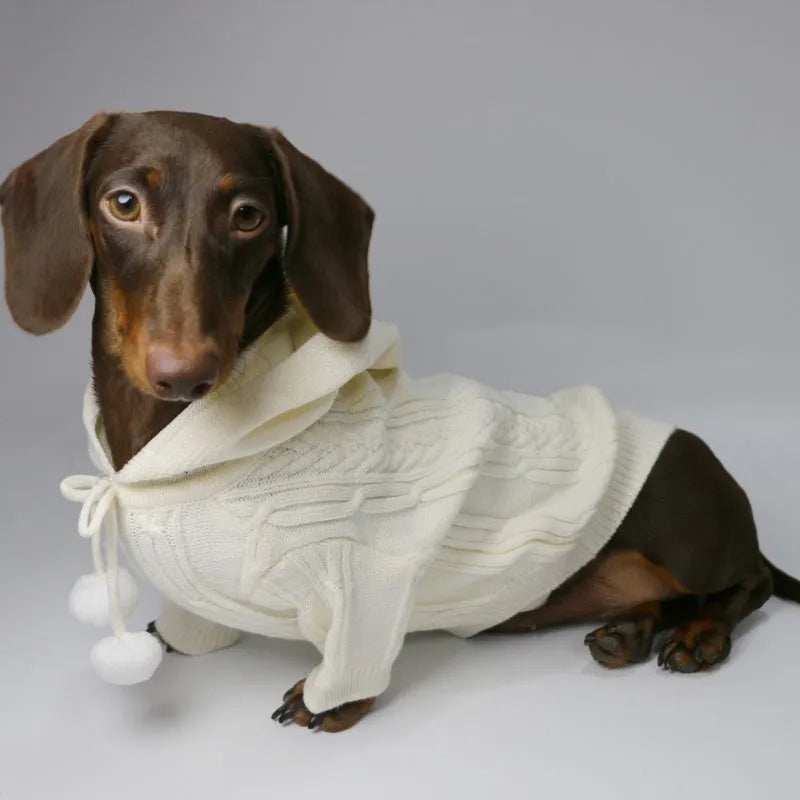 Two-leg hooded sweater for dogs in beige with hood and blended fabric