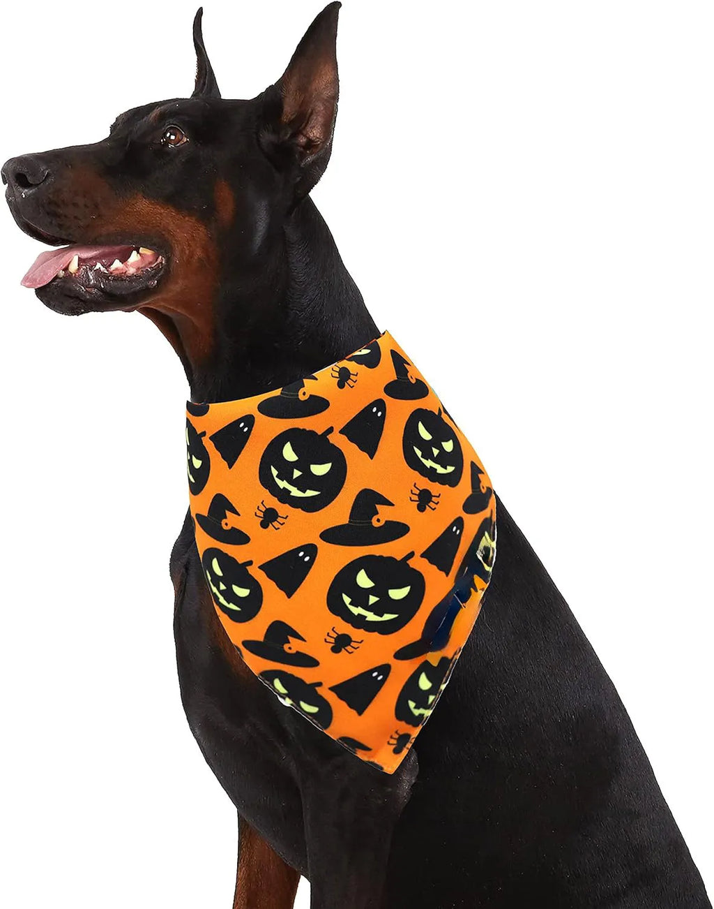 Halloween reversible dog bandana showing pumpkin and spider web patterns in black and orange colours