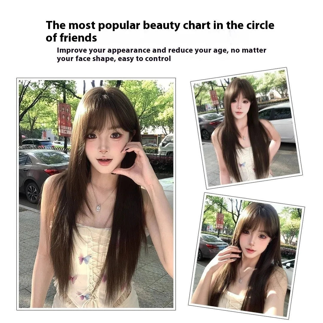 Brown black simulation wig with high-temperature fiber and wear-free hair net for ladies, natural look.