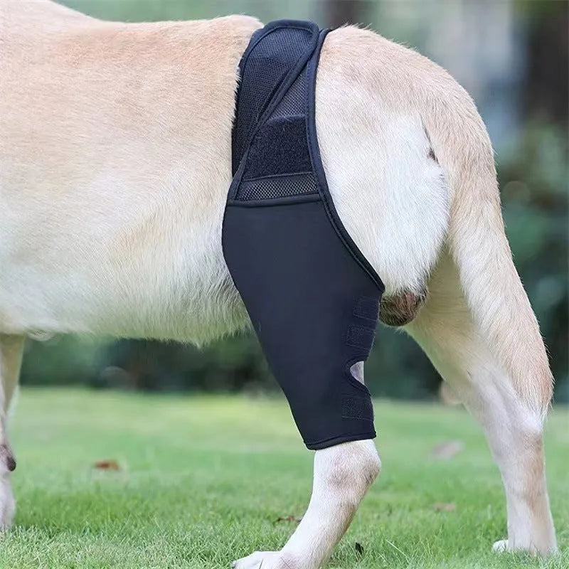 Dog leg support protector made of diving cloth and mesh with adjustable Velcro strap, shown on a dog's leg.