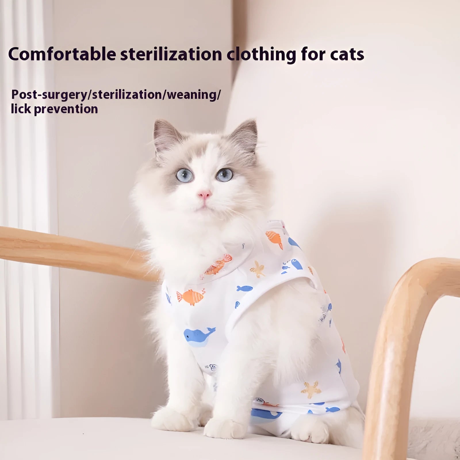 Cat wearing a soft polyester recovery suit after sterilisation surgery, showing hook-and-loop closure.