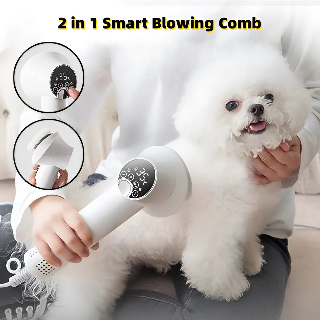 Smart pet hair dryer with blow and comb integrated 300W 40000 rpm in white on grey background with comb attachment visible