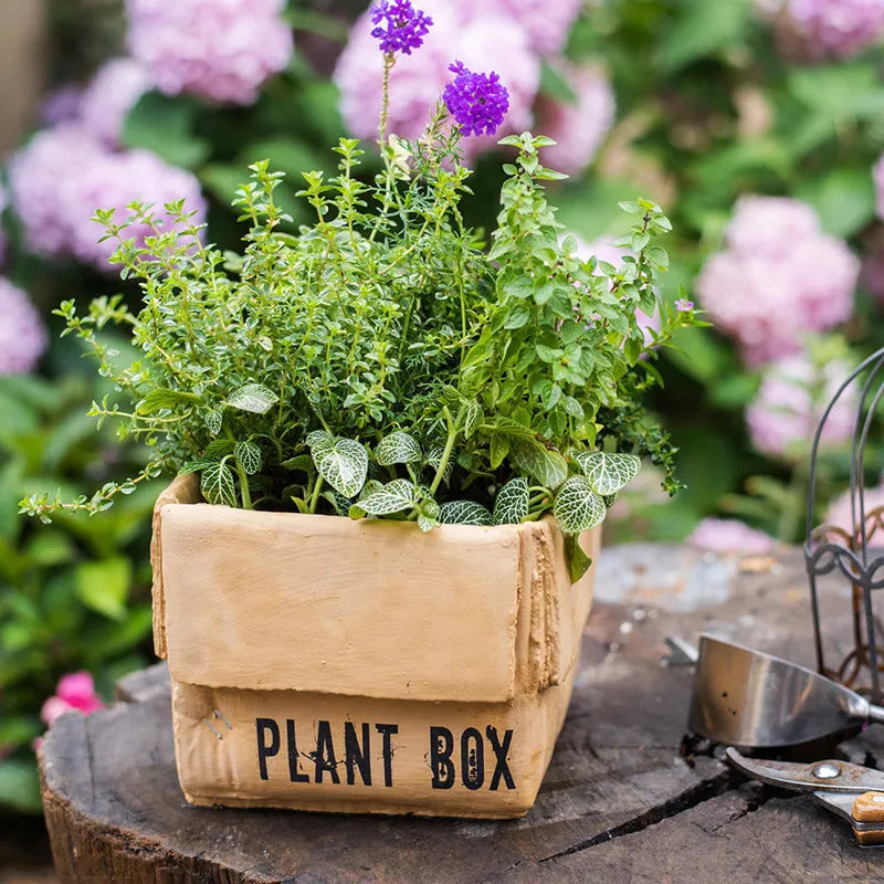 Cement flower pot with brown paper box design showing perforated drainage base