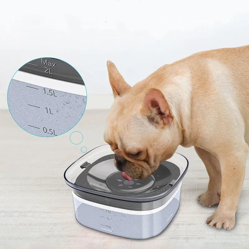 Transparent 2 litre dog water bowl with floating disk and visible water level