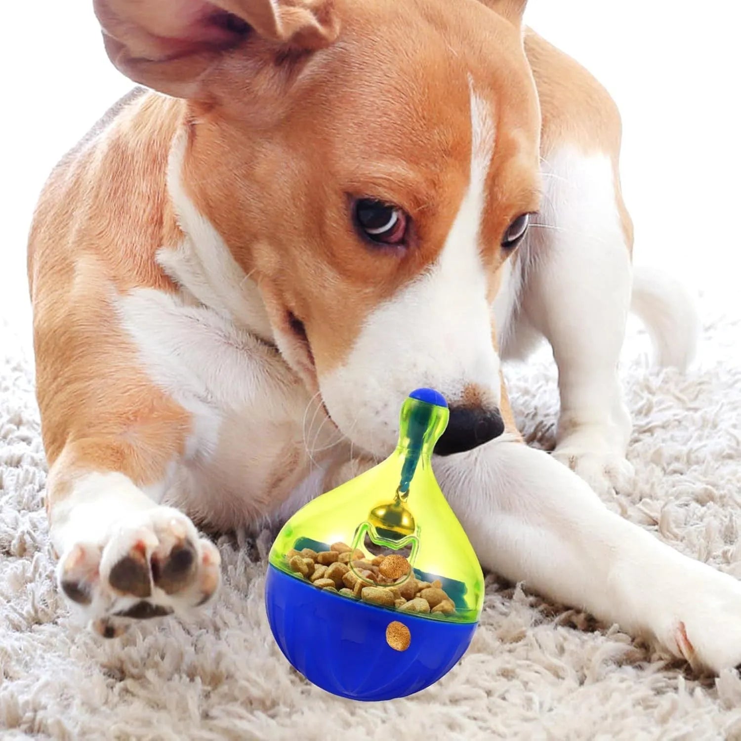 Blue plastic tumbler-shaped pet treat dispenser ball for dogs and cats.