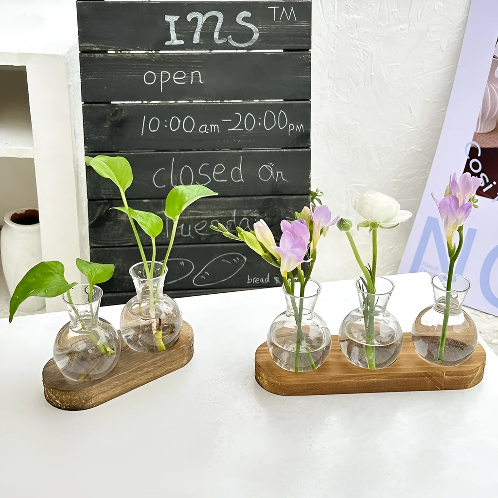 Wooden frame transparent hydroponic vase set with PET plastic vases in modern design