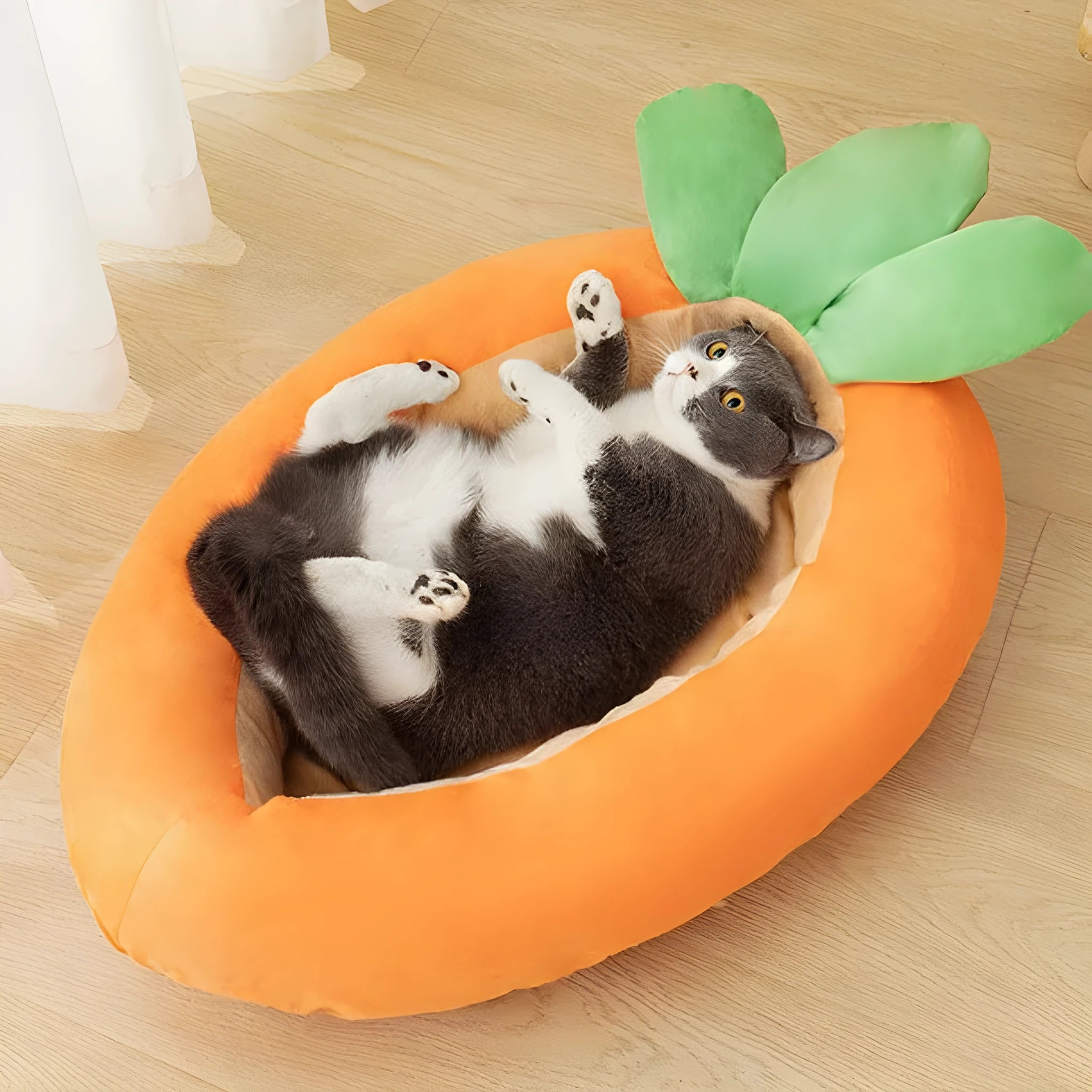 Carrot-coloured cartoon dog mat with removable cloth cover in medium and large sizes.