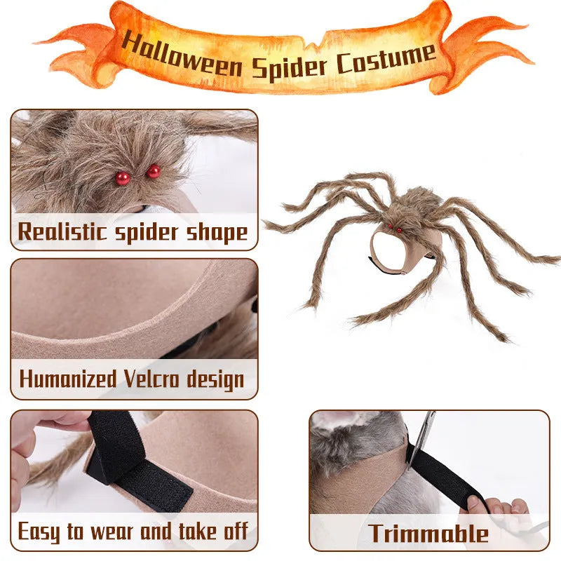 Grey polyester spider Halloween costume for a dog, shown in size M.