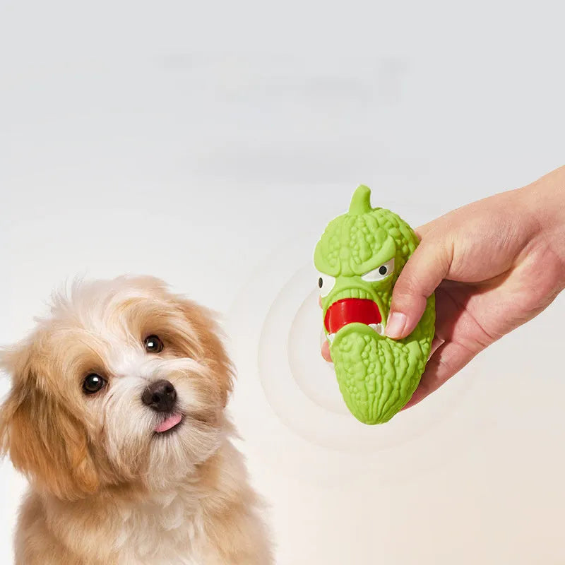 Dog chew toy with pet sound mechanism in bitter melon and chili designs for teeth cleaning