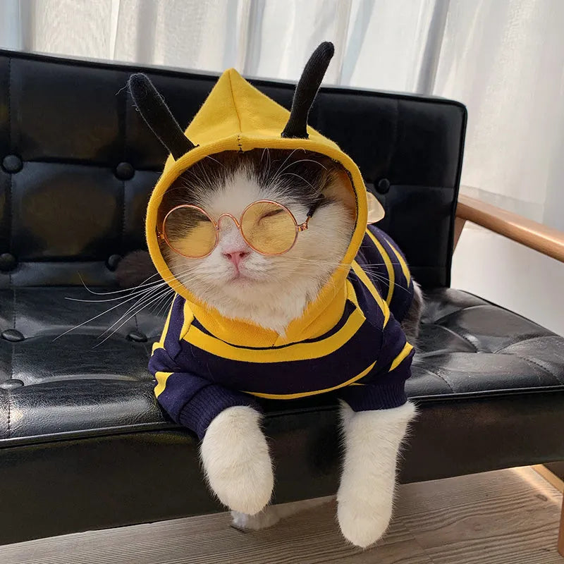 Yellow striped bee costume plush hoodie for bulldog pet cotton winter jacket in yellow and black design