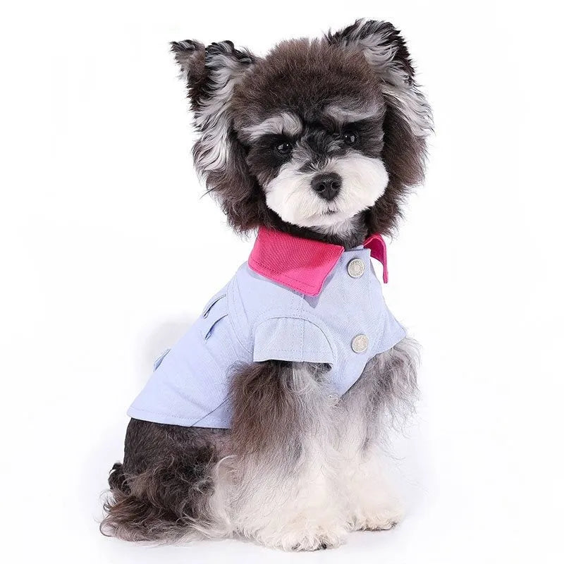 Blue and purple polyester mesh dog vest with rope rings for small breed dogs