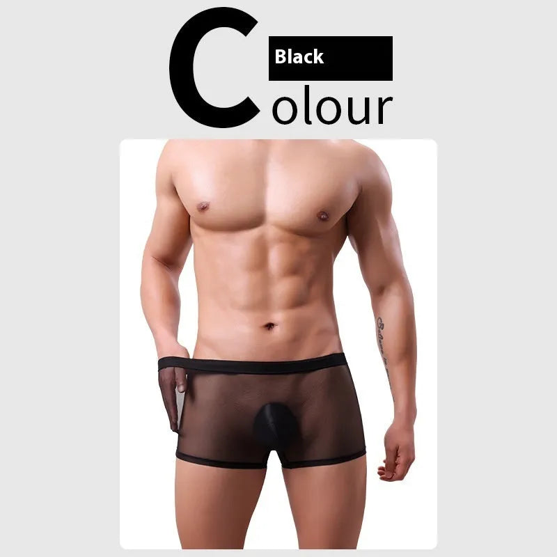Men's low-waist mesh boxer briefs in black, white, green, blue, skin colour and pink colours