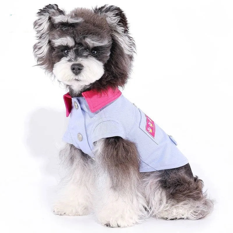 Blue and purple polyester mesh dog vest with rope rings for small breed dogs