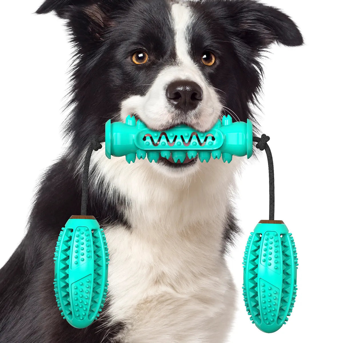 TPR dog chew stick toy with ball and serrated sections in Red and Blue, Blue, or Green