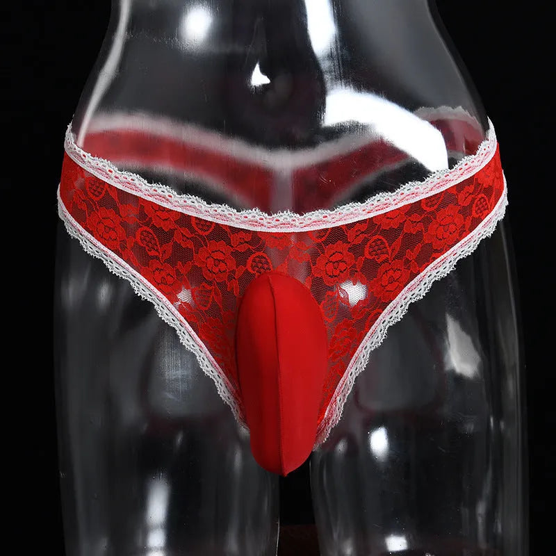 Men's lace underwear with vertical bag egg penis cover pouch in multiple colours