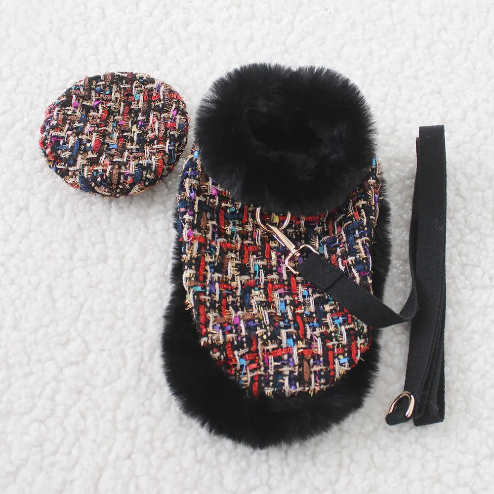 Dog wearing a decorative beret-style cloth cloak attached to a walking lead and chest strap harness.